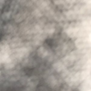 Meet your Posher, Gavin